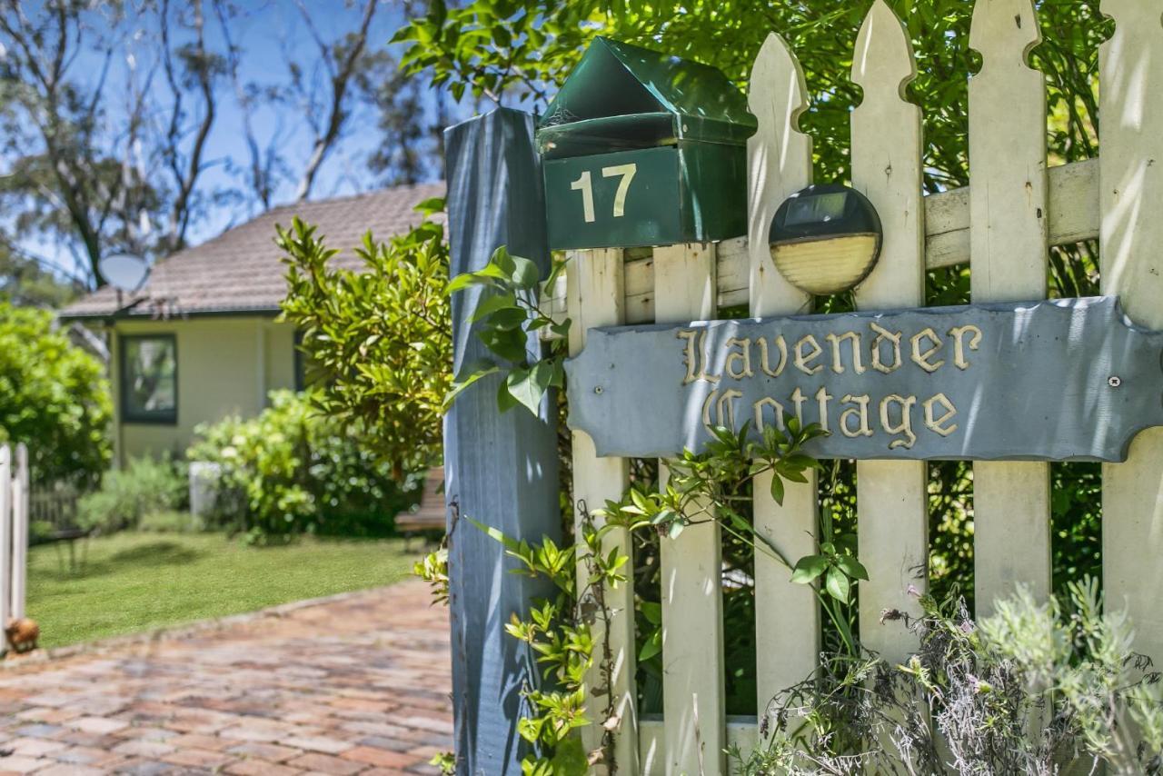 Lavender Cottage Leura Dış mekan fotoğraf